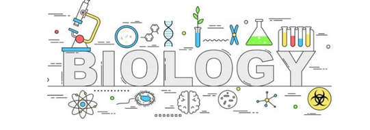 biol-6